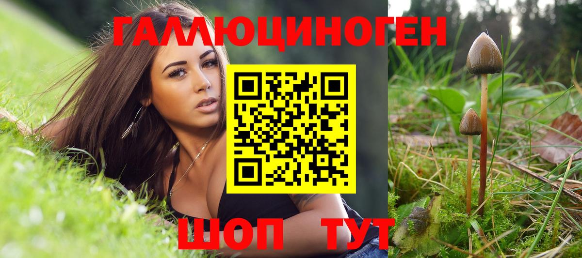Псилоцибиновые грибы Psilocybine cubensis  Вход с VPN  Фурманов  Галлюциногенные грибы мицелий 