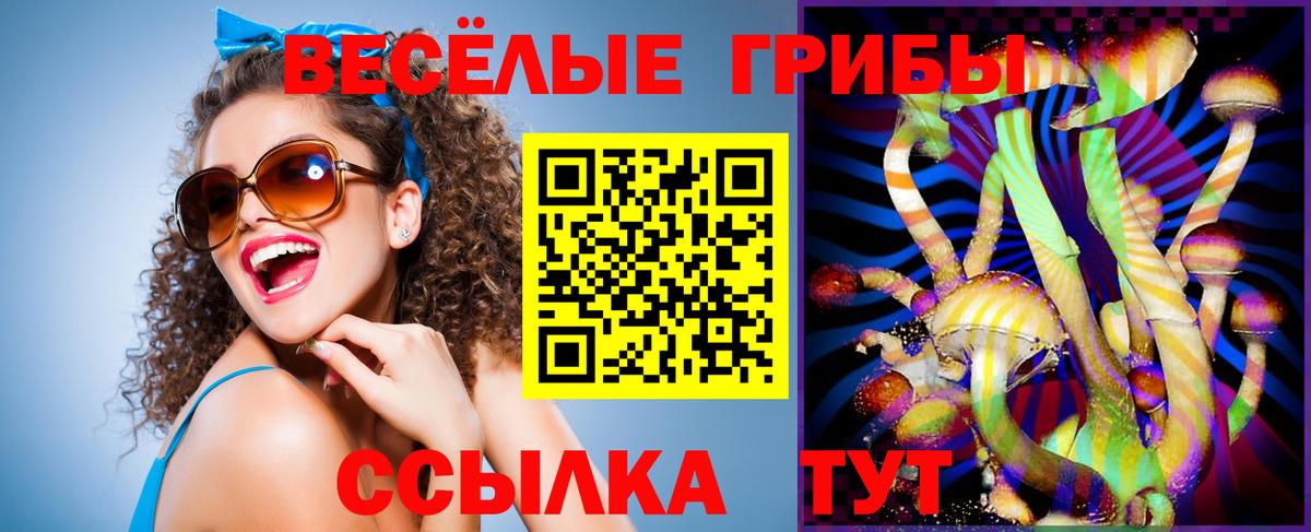 Псилоцибиновые грибы прущие грибы Фурманов